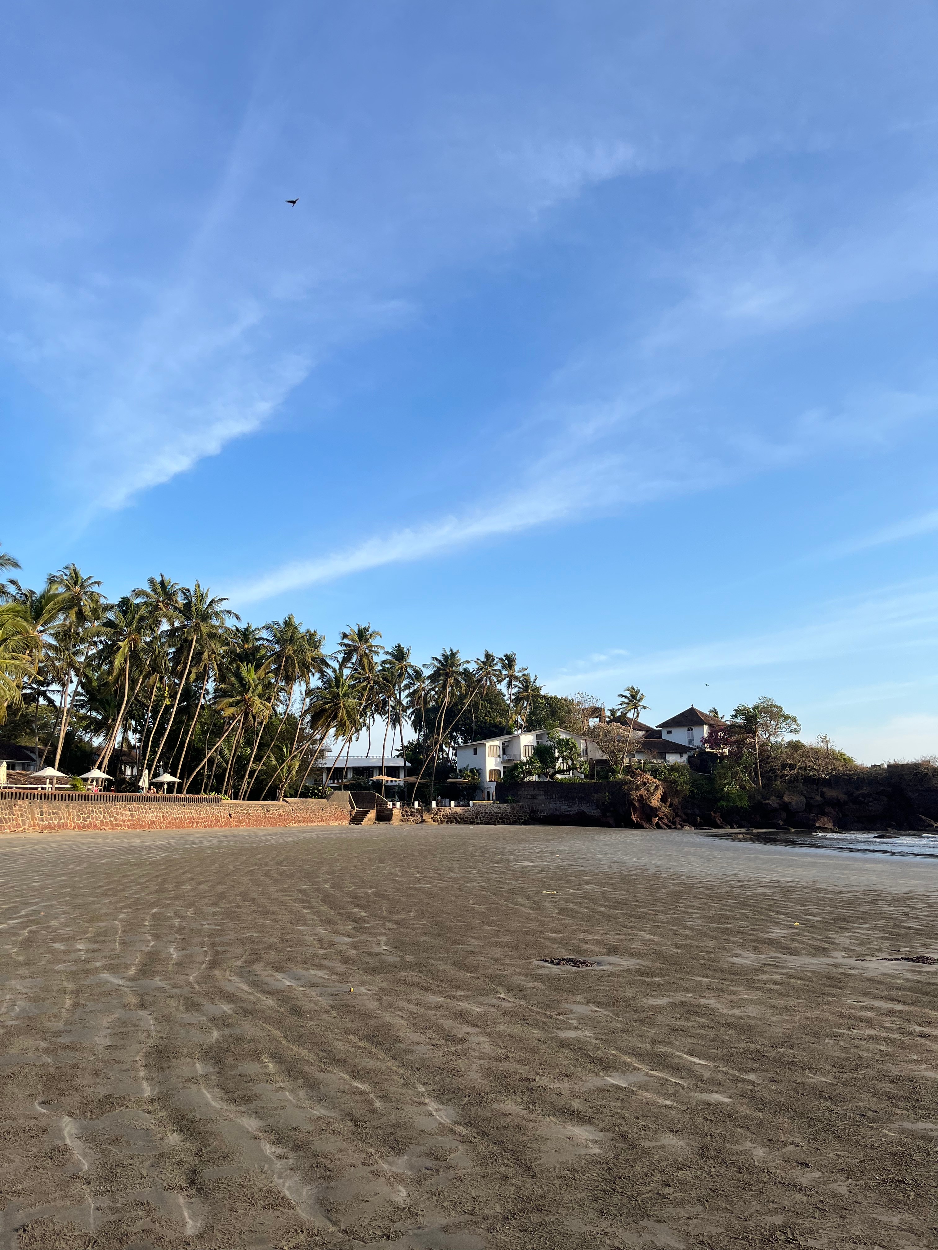 Delicate flowers taped to a wall.