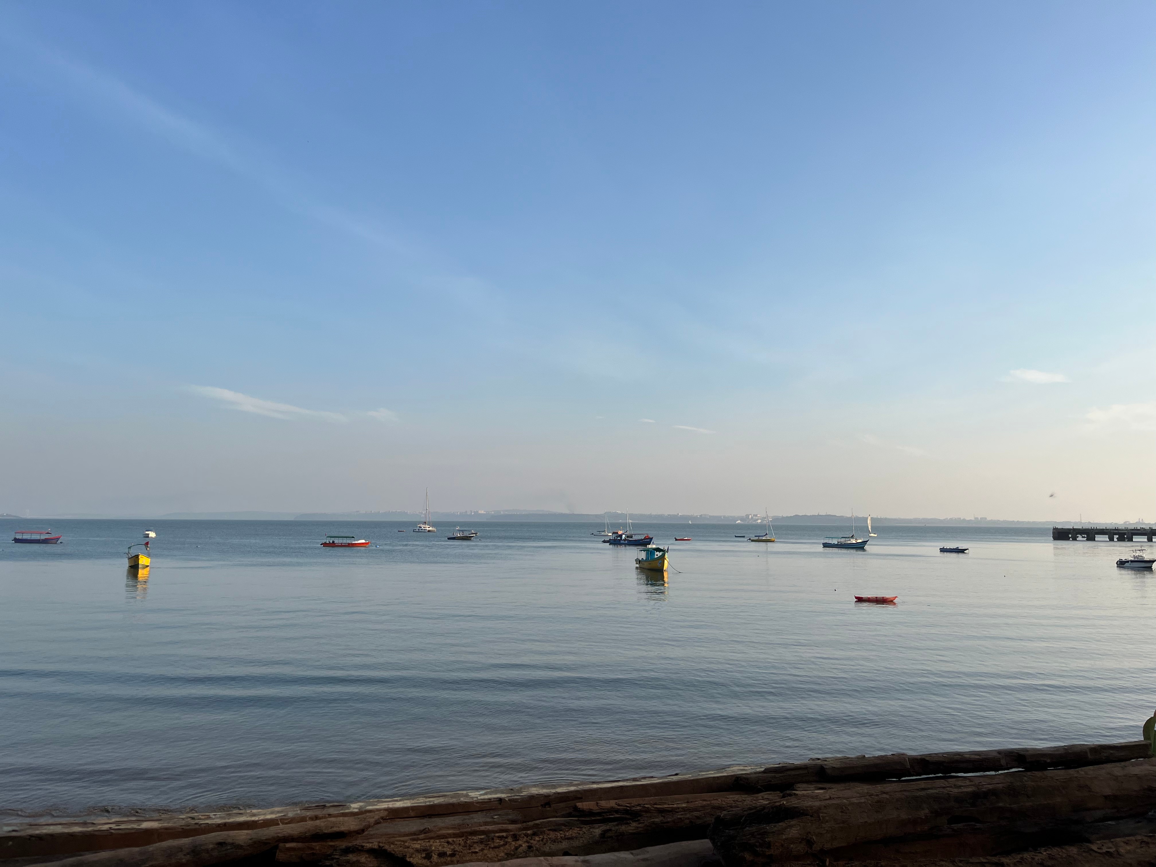 3 flowers placed in a vintage glass jar with a soft green background.